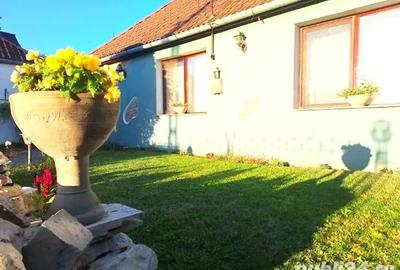 Casa deosebita, din caramida, la cheie, de vanzare in Chi?ineu-Cri?(Padureni) - 6