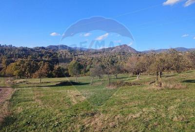 Teren Construcții intravilan de 1808 mp, în Șișești - 1