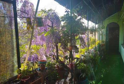 Vand apartament 4 camere ultra central direct proprietar - 9