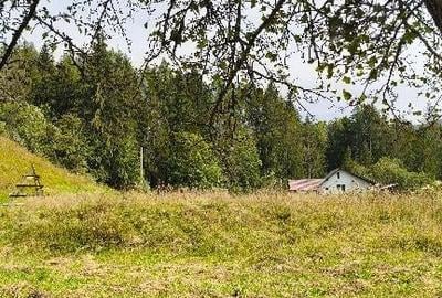 Teren intravilan Valea Doftanei - 2