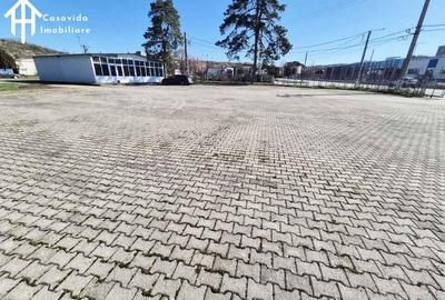 De inchiriat hale ?i showroom in Lugoj - 5