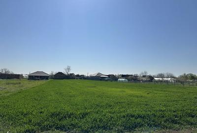 Spațiu comercial, în Gepiu - 6