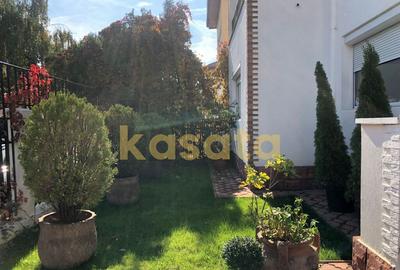 Vila deosebita 11 camere Erou Iancu Nicolae - 3