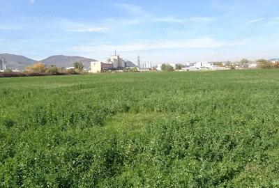 Teren de 43000 mp, în Central - 2