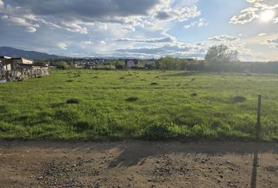 Teren de 405 mp, în Exterior Vest - 4