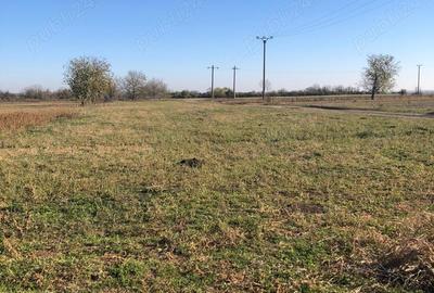 Teren de 2500 mp, în Gura Câlnăului - 3