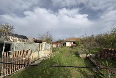 Vand casa locuibila 3 camere sat Vitanesti jud. Teleorman - 1