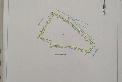 Teren de 765 mp, în Pârâul Pântei - 3
