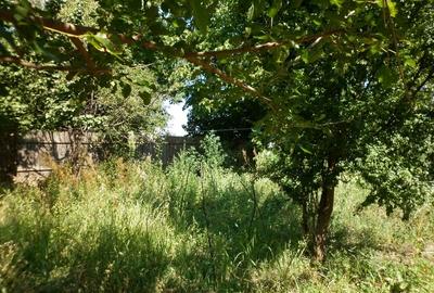 Vidra, teren intravilan 4.800 mp (sau 1.200 mp) - 3