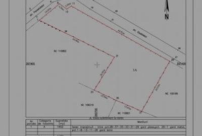 MEGA OCAZIE SE VINDE TEREN IN ZONA SNAGOV - 3