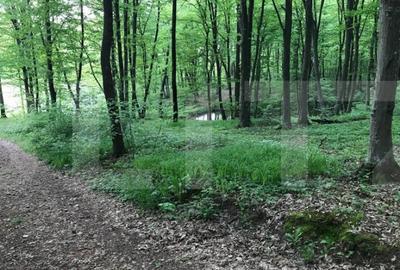 Teren de 1100 mp, în Făget - 1