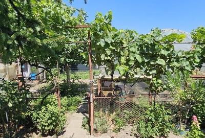 Casă cu 3 camere cu Teren 500 Mp în Ovidiu