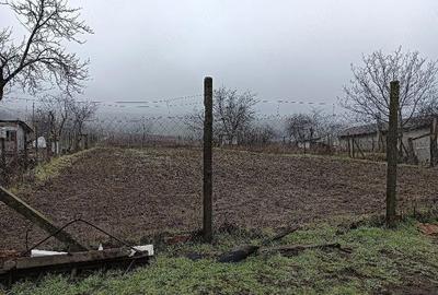 Casă cu 3 camere cu Teren 2030 Mp în Chiraftei