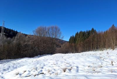 Teren de 8700 mp, în Zizin - 2