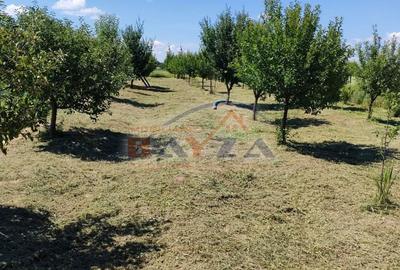 Casă cu 1 camere cu Teren 3000 Mp în Satulung - 6