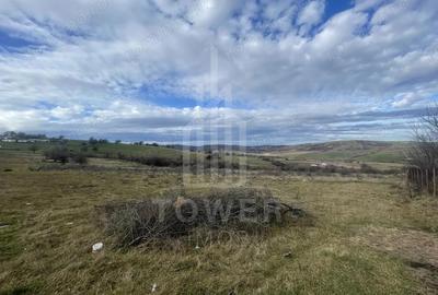 Teren de 1800 mp, în Roșia - 8