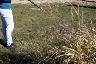 Ideal Complex Vile sau Duplexuri. - 4