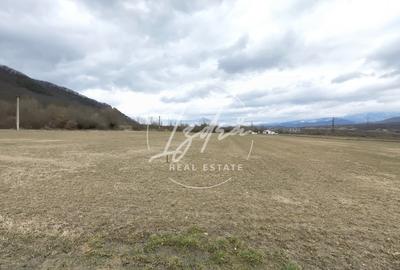 Teren agricol extravilan de 2800 mp, în Periferie - 3