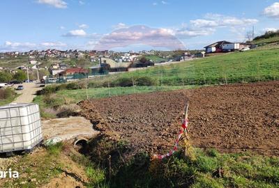 Teren de 1200 mp, în Iorga - 5