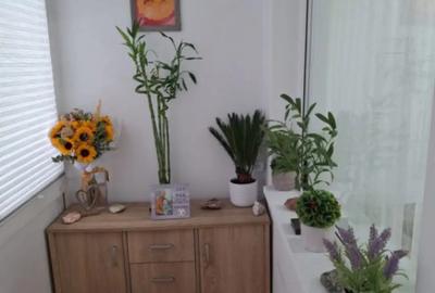 Apartament cu 3 camere semidecomandat, mobilat în Malu Roșu - 12