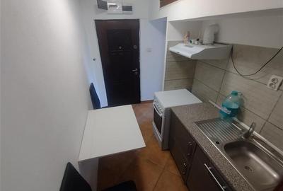 Apartament cu 2 camere nedecomandat, mobilat în Vest - 4