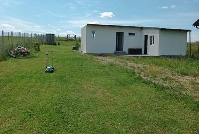 Casă individuală cu 2 camere cu Teren 1000 Mp în Săldăbagiu de Munte - 2