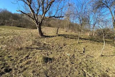 Spațiu comercial, în Dospinești - 4