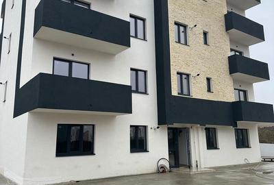 Garsonieră decomandată în Bucium - 4