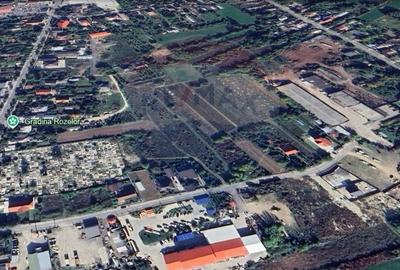 Teren Construcții intravilan de 25200 mp, în Sud - 2