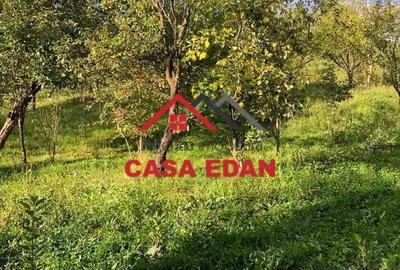 Teren de 9104 mp, în Brebu - 14