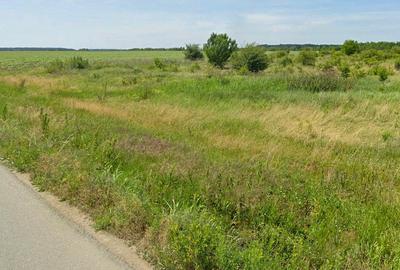 Teren intravilan 16 ha, tangent DR4, acces dublu la asfalt - 6