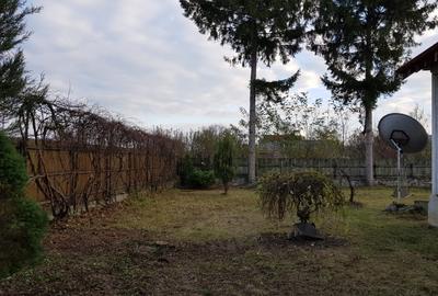 Casa P+M - semifinisata, Merisani, teren 1.065mp - 11