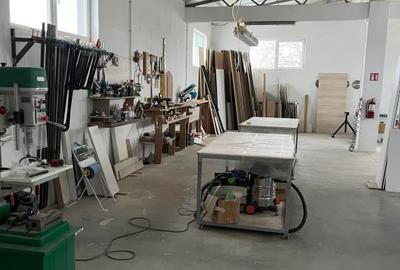 Spațiu comercial, de 460 mp, în Giubega - 6