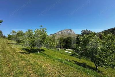 Teren deosebit de vanzare 1800 mp, Cheile Vali?oarei livada de nuci - 6