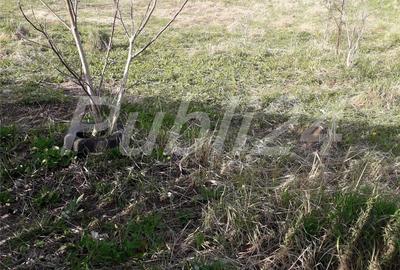 Teren în Sânpetru - 2
