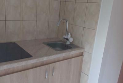 Garsonieră semidecomandată în Cișmigiu - 7