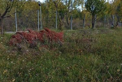 Property 7500m2 a hillside - 12