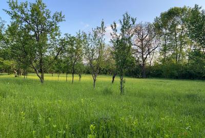 Spațiu comercial, în Brebu - 3