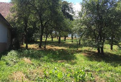 Casă cu Teren 6500 Mp în Dretea - 2