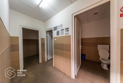 Spațiu industrial, de 704.71997070313 mp, în Aradul Nou - 8