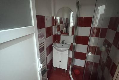 Garsonieră în Alexandru cel Bun - 3
