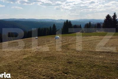 Teren de 10909 mp, în Râșca - 4