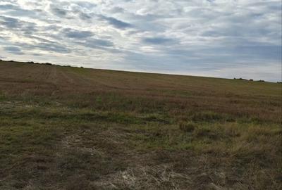 Teren de 20000 mp, în Lunca - 3