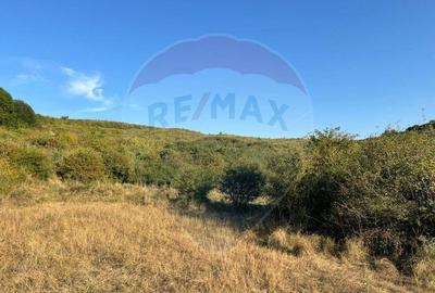 Teren cu parau | 50,000 mp | zona Caianu-Vama | la lizi... - 20