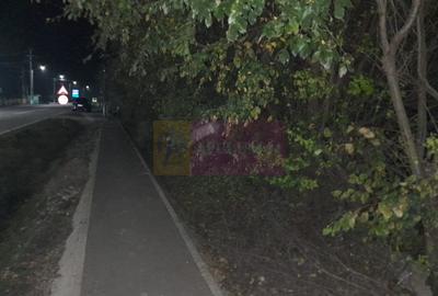 BARCANESTI - casa +curte+teren 16k mp - 7