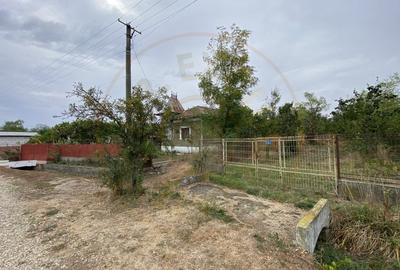 Teren 3000mp intravilan in Mavrodolu, AG - 7