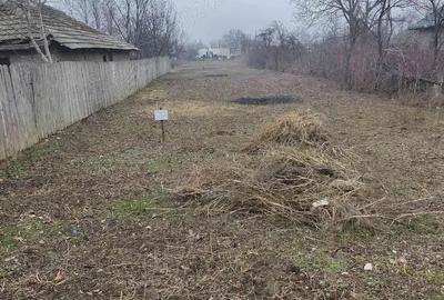 Teren de 1000 mp, în Gălbinași - 1