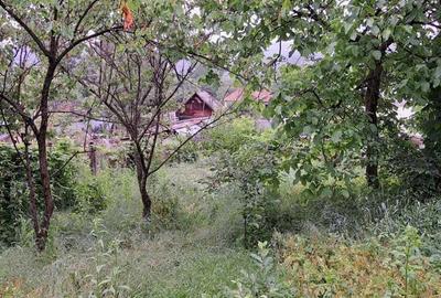 Casă cu 3 camere cu Teren 260 Mp în Onești - 5