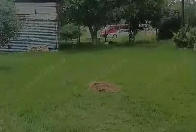 Casă cu 6 camere cu Teren 1400 Mp în Checea - 9