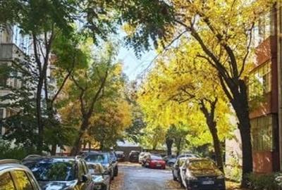 Renovat, mobilat si utilat. Straduta linistita. COMISION ZERO! Renovat, mobilat si utilat. Straduta linistita. COMISION ZERO! - 20